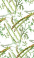 Image Not Available